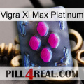 Vigra Xl Max Platinum 02